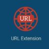 All-in-One WP Migration URL Extension