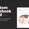 Custom Facebook Feed Pro