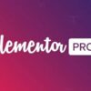 Elementor Pro