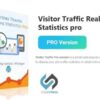 Visitor Traffic Real Time Statistics Pro