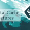 W3 Total Cache Pro