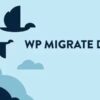 WP Migrate DB Pro