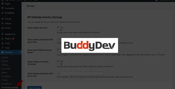 BuddyPress Editable Activity