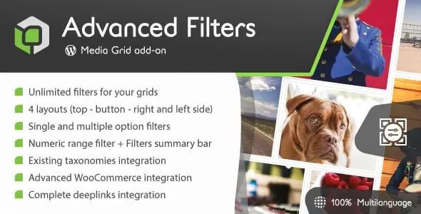 Media Grid – Advanced Filters add-on