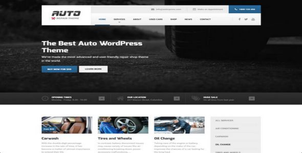 Auto ProteusThemes