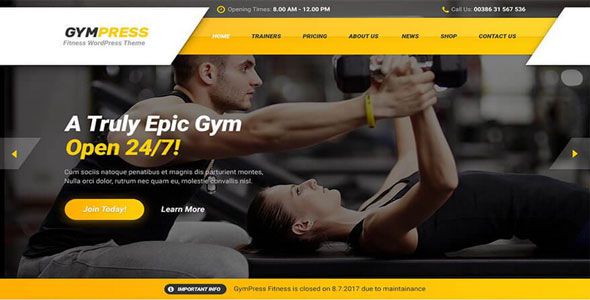GymPress theme