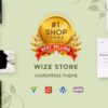 WizeStore theme