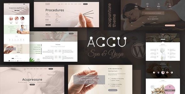 Accu Theme