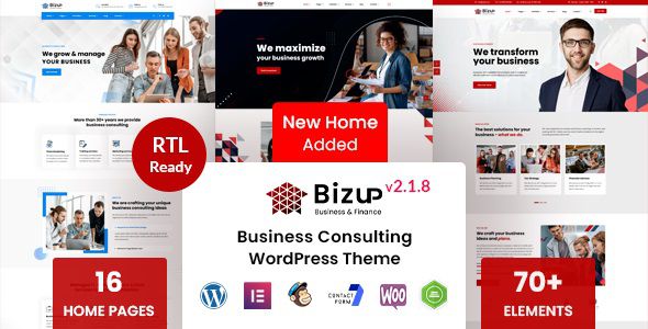 Bizup Theme