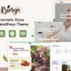 Biorga Theme