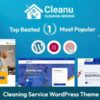 Cleanu theme