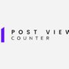Post Views Counter Pro
