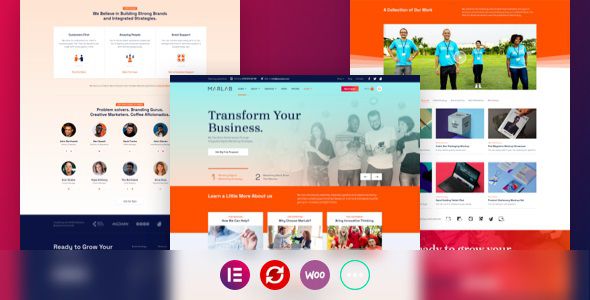 MarLab Digital Solutions WordPress Theme