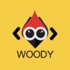 Woody Code Snippets Premium
