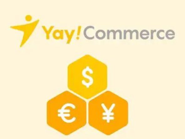 YayCurrency Pro